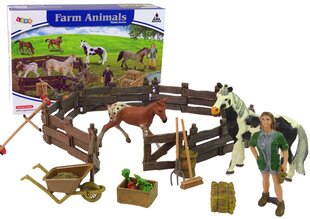 Figūrėlių rinkinys Ūkio arkliai kaina ir informacija | Žaislai mergaitėms | pigu.lt