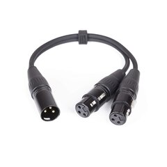 Y tipo adapteris Master Audio CY100 kaina ir informacija | Kabeliai ir laidai | pigu.lt