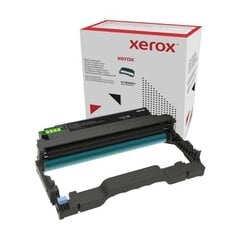 Картридж Xerox 013R00691, черный цена и информация | Картриджи для струйных принтеров | pigu.lt