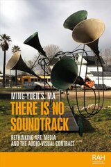 There is No Soundtrack: Rethinking Art, Media, and the Audio-Visual Contract цена и информация | Книги об искусстве | pigu.lt