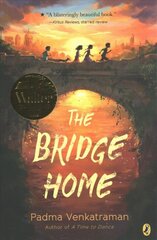 Bridge Home цена и информация | Книги для подростков и молодежи | pigu.lt