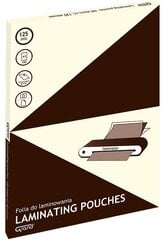 Конверт с ламинацией GRAND, А3 (303х426 мм), 125 мкр цена и информация | Канцелярские товары | pigu.lt