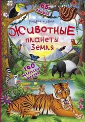 Животные планеты Земля, книжка с окошками kaina ir informacija | Knygos vaikams | pigu.lt