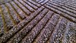 Tekstilinis kilimėlis guminiu pagrindu, 150x90x1cm цена и информация | Durų kilimėliai | pigu.lt