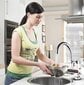 Elektrinis vandens šildytuvo maišytuvas цена и информация | Virtuvės maišytuvai | pigu.lt