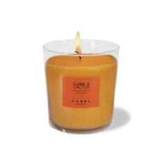 Aromatizuota žvakė Label Kaktusas 220 g kaina ir informacija | Žvakės, Žvakidės | pigu.lt