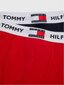 Trumpikės berniukams Tommy Hilfiger 1985 Collection Primary Red Desert Sky 540125079, 2 vnt. kaina ir informacija | Apatiniai drabužiai berniukams | pigu.lt