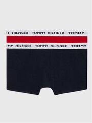 Трусы для мальчика TOMMY HILFIGER 1985 Collection Primary Red Desert Sky 540125079, 2 шт. цена и информация | Нижнее белье для мальчиков | pigu.lt