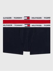 Trumpikės berniukams Tommy Hilfiger 1985 Collection Primary Red Desert Sky 540125079, 2 vnt. kaina ir informacija | Apatiniai drabužiai berniukams | pigu.lt