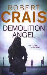Demolition Angel kaina ir informacija | Fantastinės, mistinės knygos | pigu.lt