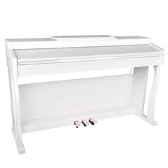 Skaitmeninis pianinas BLANTH BL-8808 WH kaina ir informacija | Klavišiniai muzikos instrumentai | pigu.lt