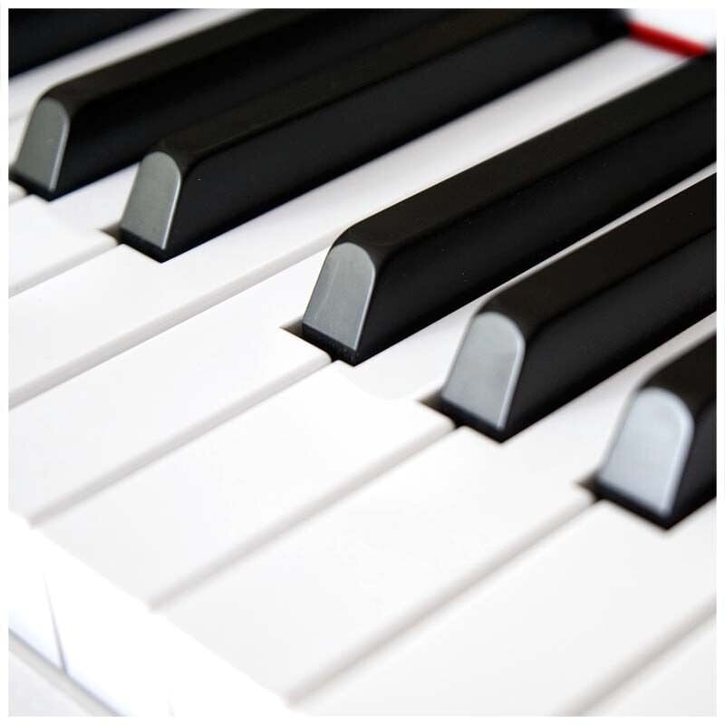 Skaitmeninis pianinas BLANTH BL-8808 WH kaina ir informacija | Klavišiniai muzikos instrumentai | pigu.lt
