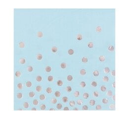 Салфетки бумажные  «Silver dots», 33 x 33 см, 12 шт  цена и информация | Праздничная одноразовая посуда | pigu.lt