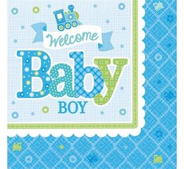 Салфетки «Welcome Little One - Boy», 33x33 см, 20 шт, 501461 цена и информация | Праздничная одноразовая посуда | pigu.lt