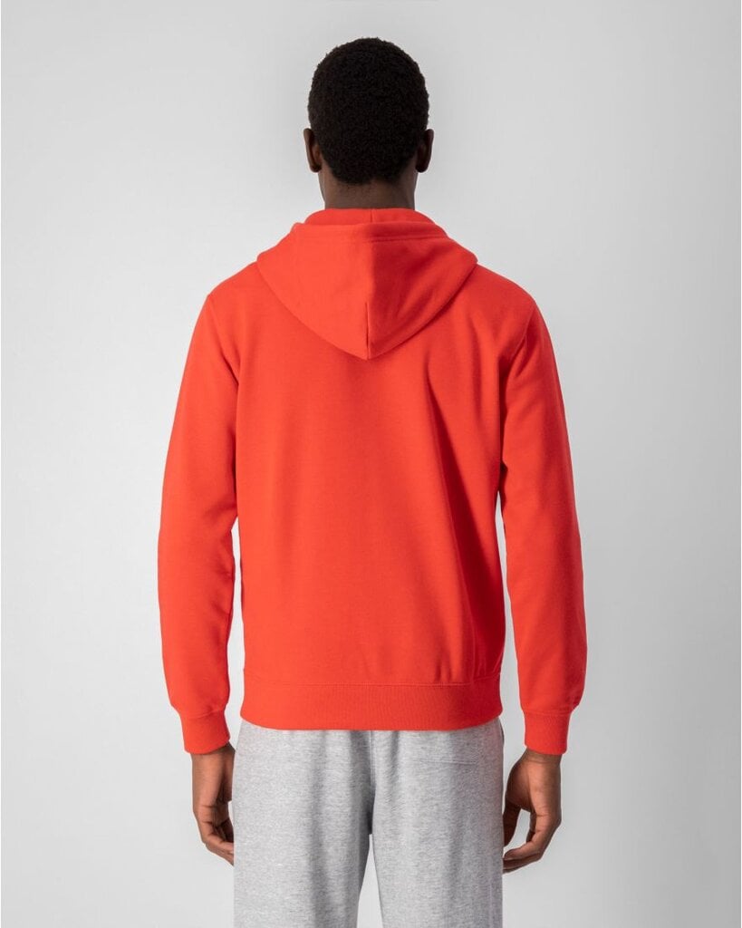 Champion vyriškas džemperis, raudonas цена и информация | Džemperiai vyrams | pigu.lt