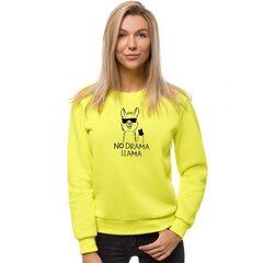 Džemperis moterims Llama kaina ir informacija | Megztiniai moterims | pigu.lt
