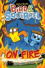Bird & Squirrel on Fire: A Graphic Novel (Bird & Squirrel #4) цена и информация | Книги для подростков и молодежи | pigu.lt
