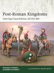 Post-Roman Kingdoms: 'Dark Ages' Gaul & Britain, AD 450-800 цена и информация | Исторические книги | pigu.lt