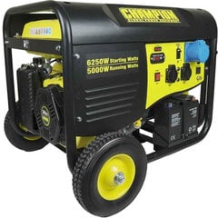 Benzininis generatorius Champion CPG6500E2-EU-SC kaina ir informacija | Elektros generatoriai | pigu.lt