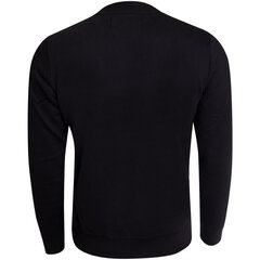 Marškinėliai vyrams 53124 цена и информация | Мужские футболки | pigu.lt