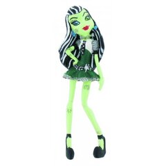 Figūrėlė - lėlė Monster High Franken Stein цена и информация | Игрушки для девочек | pigu.lt