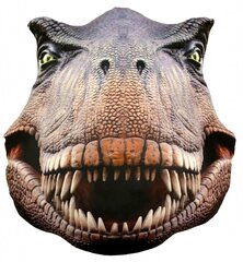 Splat Planet pagalvėlė Dinozauras kaina ir informacija | Dekoratyvinės pagalvėlės ir užvalkalai | pigu.lt