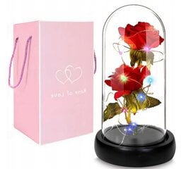 Роза в стекле цена и информация | Другие оригинальные подарки | pigu.lt