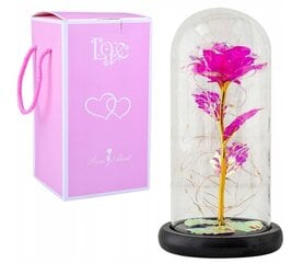 Роза в стекле цена и информация | Другие оригинальные подарки | pigu.lt