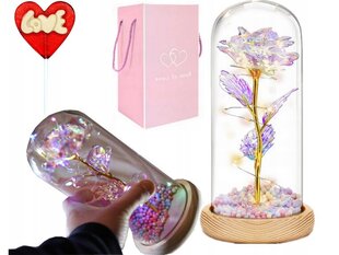 Стеклянная светодиодная роза в стеклянном корпусе цена и информация | Другие оригинальные подарки | pigu.lt