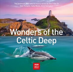 Wonders of the Celtic Deep kaina ir informacija | Kelionių vadovai, aprašymai | pigu.lt