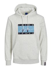 Jack & Jones мужская толстовка 12238143*02, тёмно-синий 5715417189181 цена и информация | Мужские толстовки | pigu.lt