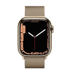 Apple Watch Series 7 41mm Stainless steel GPS+Cellular Gold (обновленный, состояние A) цена и информация | Смарт-часы (smartwatch) | pigu.lt
