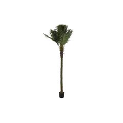Дерево DKD Home Decor Пальмовое полиэстер полипропилен (100 x 100 x 250 cm) цена и информация | Искусственные цветы | pigu.lt