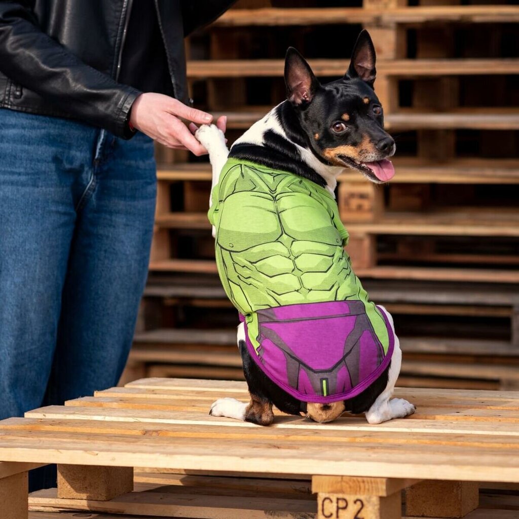 Marškinėliai šuniui For Fan Pets The Incredible Hulk, XS kaina ir informacija | Drabužiai šunims | pigu.lt