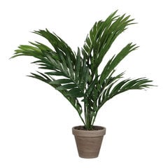 Декоративное растение Mica Decorations 45 x 60 cm Керамика PVC Пальмовое цена и информация | Искусственные цветы | pigu.lt