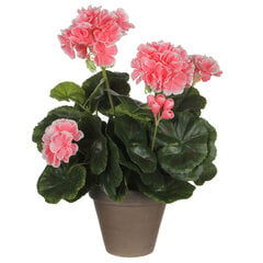 Dirbtinis augalas palergonija, 11,5 x 33 cm kaina ir informacija | Dirbtinės gėlės | pigu.lt