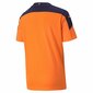 Vaikiški futbolo marškinėliai Valencia CF 2 Puma, oranžiniai kaina ir informacija | Futbolo apranga ir kitos prekės | pigu.lt