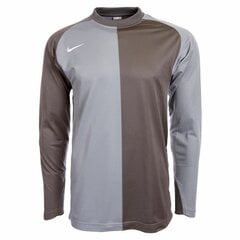 Marškinėliai Nike Park, rudi kaina ir informacija | Futbolo apranga ir kitos prekės | pigu.lt
