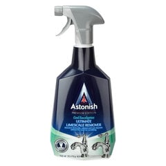 Средство для удаления накипи Astonish Descaler limescale remover 750 мл цена и информация | Очистители | pigu.lt