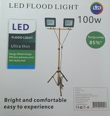 Лампа со штативом, 2x50 Вт цена и информация | Фонарики, прожекторы | pigu.lt