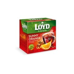 Красный чай Loyd, апельсиновый и коричный аромат, 20 x 2 г x 8 пачек цена и информация | Чай | pigu.lt