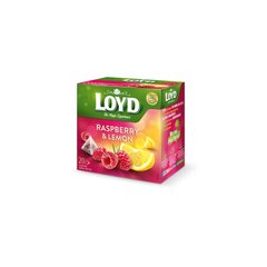 Травяной и фруктовый чай Loyd, малиновый и лимонный ароматы, 20 x 2г x 5 пачек цена и информация | Чай | pigu.lt