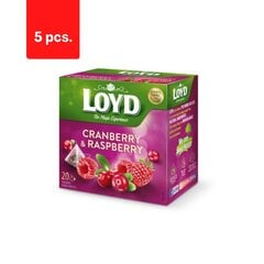 Чай Loyd Herbal and Fruit Tea, со вкусом клюквы и малины, 20 x 2 г x 5 упаковок цена и информация | Чай | pigu.lt