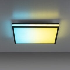 Потолочные светильники цена и информация | Потолочные светильники | pigu.lt