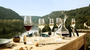 L'Atelier Du Vin, L'Atelier du Vin šampano taurės, 160 ml kaina ir informacija | Taurės, puodeliai, ąsočiai | pigu.lt