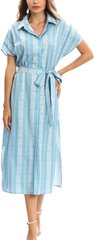Женское платье Jillumi, голубое цена и информация | Платья | pigu.lt