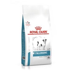 Royal Canin Anallergenic Small Dog для собак мелких пород, 1,5 кг. цена и информация |  Сухой корм для собак | pigu.lt