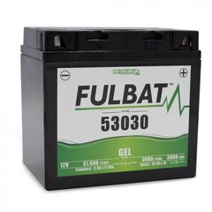 Аккумулятор Fulbat 53030 Gel, 30 Ач 300 12В цена и информация | Мото аккумуляторы | pigu.lt