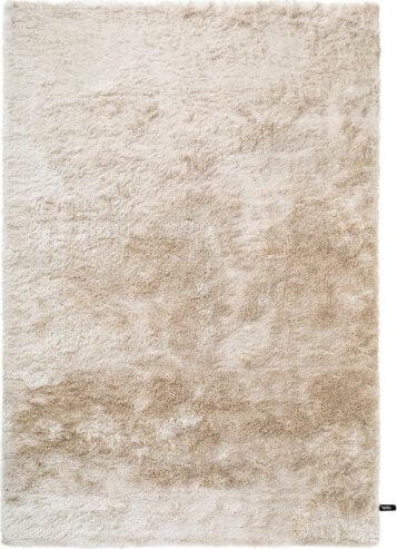 Benuta kilimas Whisper Beige 240x340 cm kaina ir informacija | Kilimai | pigu.lt