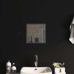 Vonios kambario LED veidrodis vidaXL, 30x30cm, permatoma spalva kaina ir informacija | Veidrodžiai | pigu.lt